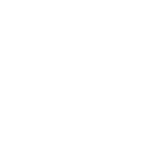 blurflake31.png